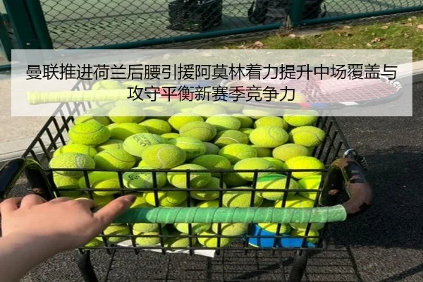 曼联推进荷兰后腰引援阿莫林着力提升中场覆盖与攻守平衡新赛季竞争力